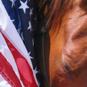 Meet your Posher, Stefania